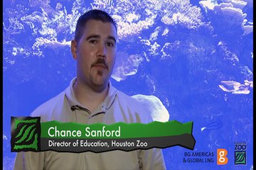 Intro - Eco Learning Lab   Polar Bear Trip