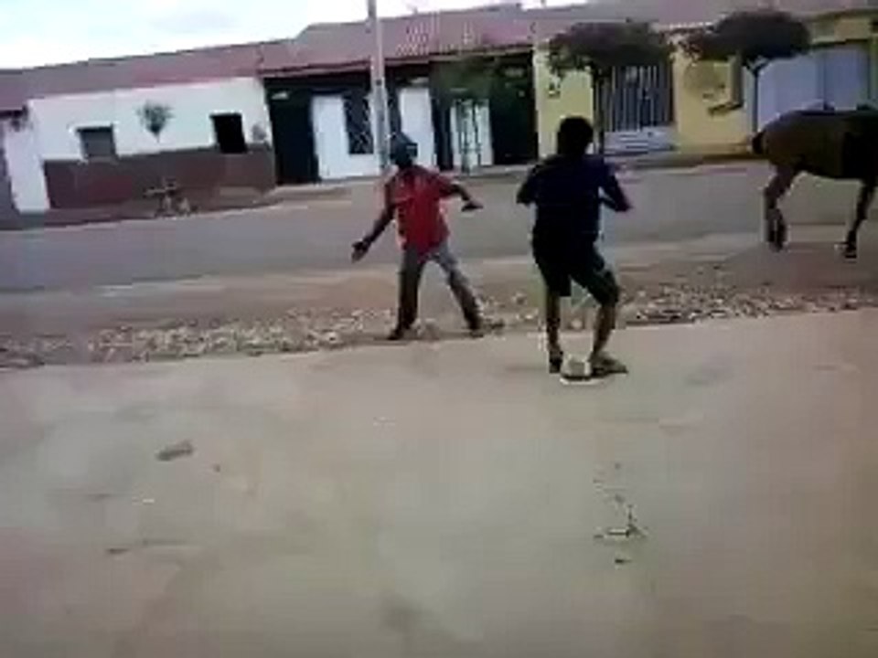 Isto sim é um UFC.