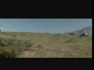 ___ARESTRA___humour - matrix la vache