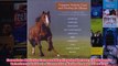 Complete Holistic Care and Healing for Horses The Owners Veterinary Guide to Alternative