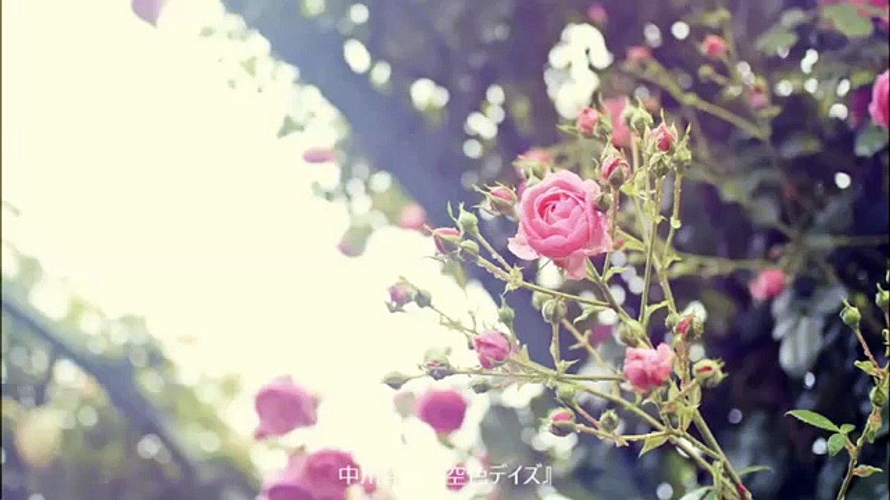 中川翔子 / 空色デイズ (ライブ)