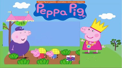 discovery kids Peppa Pig en español - Animalitos | Animados Infantiles discovery kids