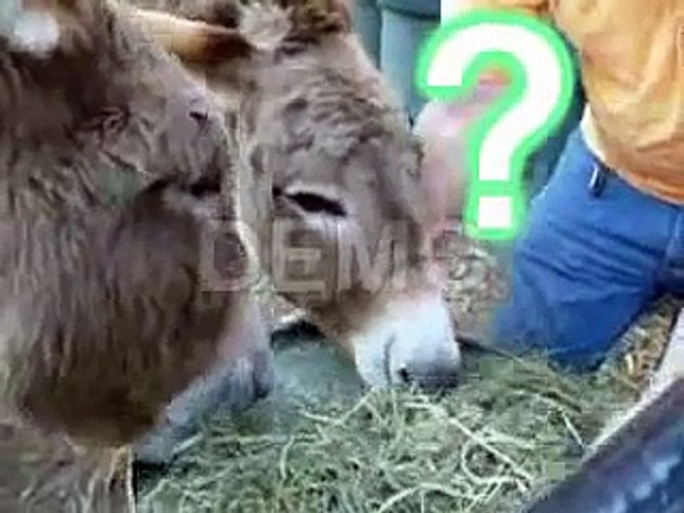 SESLERLE OKUMA YAZMA ALBÜMÜ çocuk eğitim müzikleri şarkıları Gökhan ŞEN alfabe