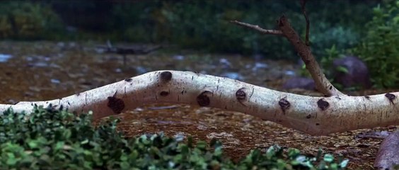 The Good Dinosaur Viral Video - Karma (2015) - Pixar Animated Movie HD