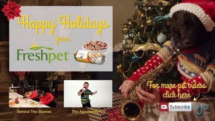 Top 10 Uplifting Christmas YouTube Ads - TopX