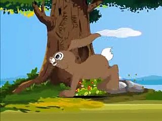 ഹാരി ആൻഡ് ടോർട്ടോസ്: കഥ മലയാളത്തിൽ 🐢🐇