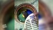 football fans jumps into the sewer for lost ticket