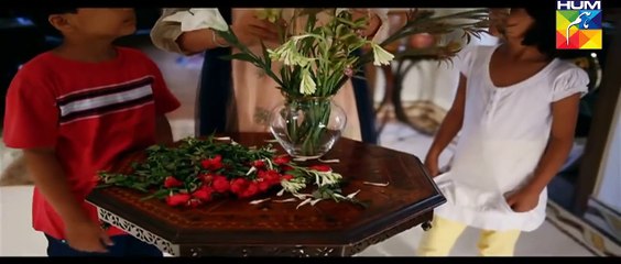 Kaise Tumse Kahoon Episode 20 Part 1 Hum TV Drama 13 Dec 2015