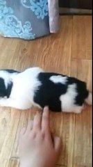 안산안마(VIP)OlO/2165/2776안산출장안마/안산출장마사지=해피데이 고잔동안마&고잔동마사지