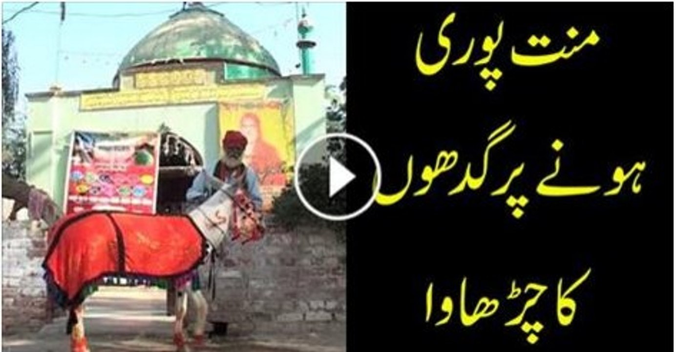 منت پوری ہونے پر گدھوں کا چڑھاوا