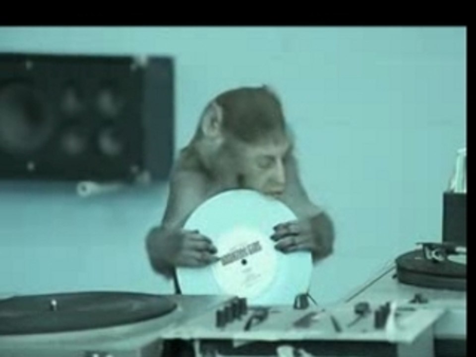 Basement Jaxx - Wheres Your Head At