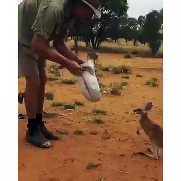 He loves his pouch