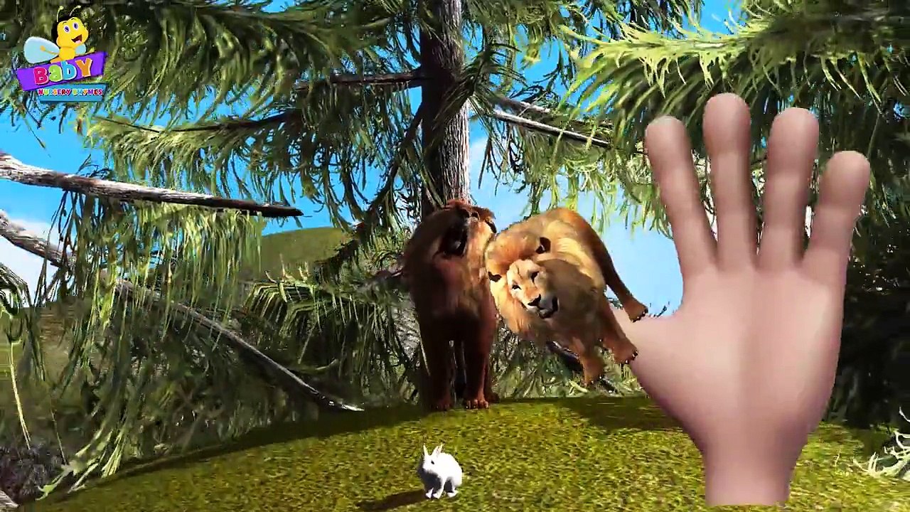 Lion Finger Family 3D | Animals Cartoons Finger Family Children Nursery Rhymes