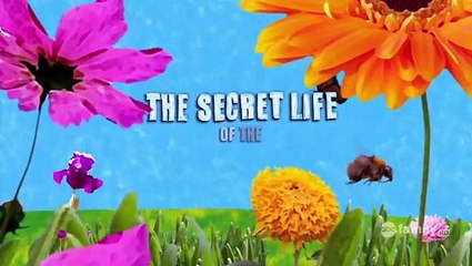 The Secret Life of the American Teenager - S01-E13. Baked Nevada