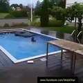 swiming pull funny