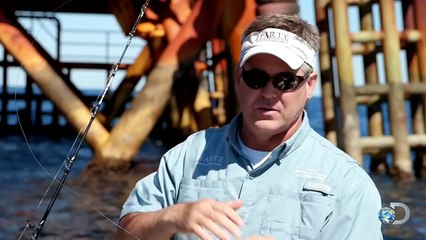 Mako Sharks Launch Like Rockets