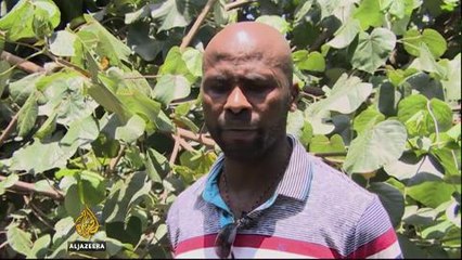 Apartheid era hostels in the middle of S African politics