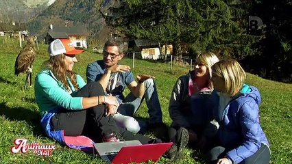 Les animaux de Noël - Décembre 2015 [Partie 1]