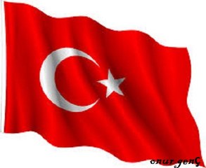 ONUR GENÇ DENİZ ÜSTÜ KÖPÜRÜR