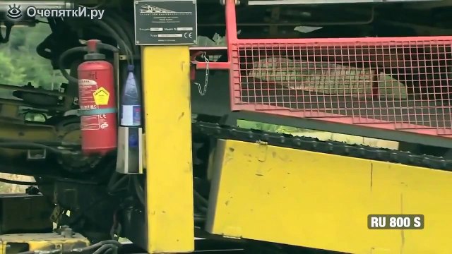 Вот такую бы в Россию