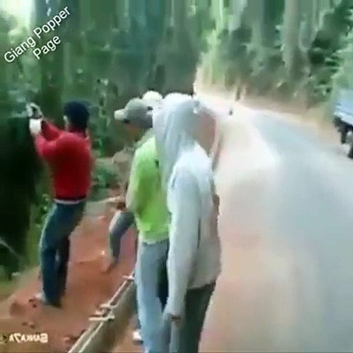 Best videos fun vines 2015-Prank,Comedy,Entertainment,Fun