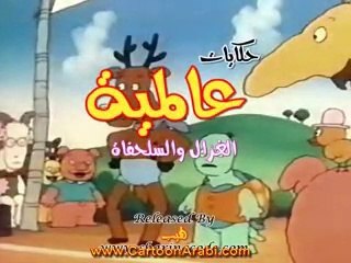 حكايات عالمية - الغزال والسلحفاة