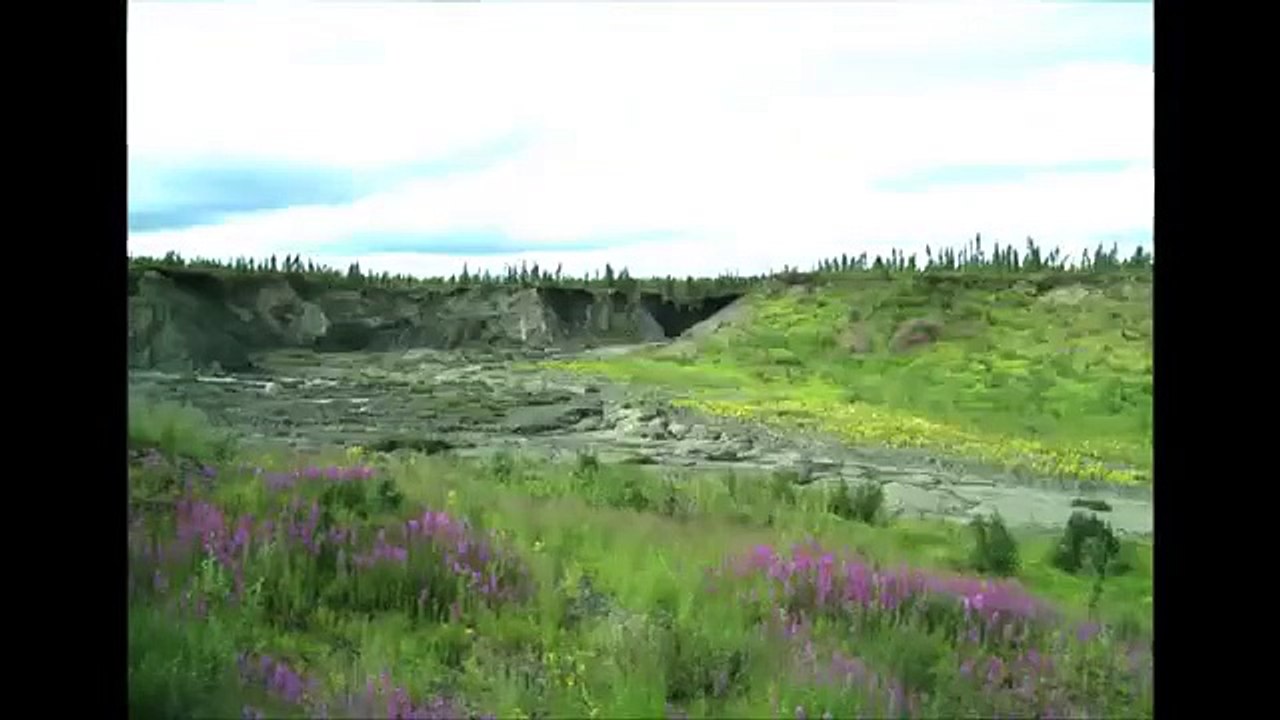 Thaw slump and lake drainage near Fort McPherson, NWT, Canada