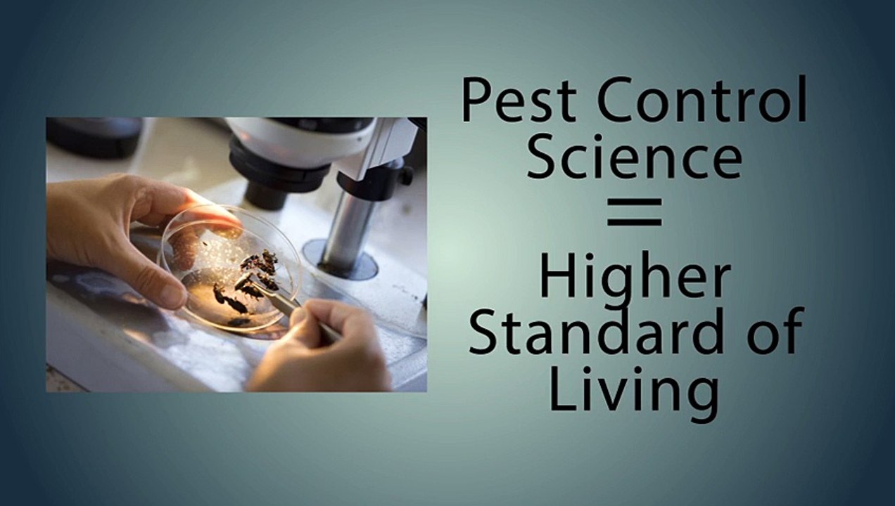 The Value of Pest Management and Pest Control