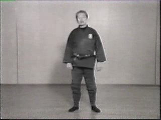 Ninjutsu training - part 4-4/6