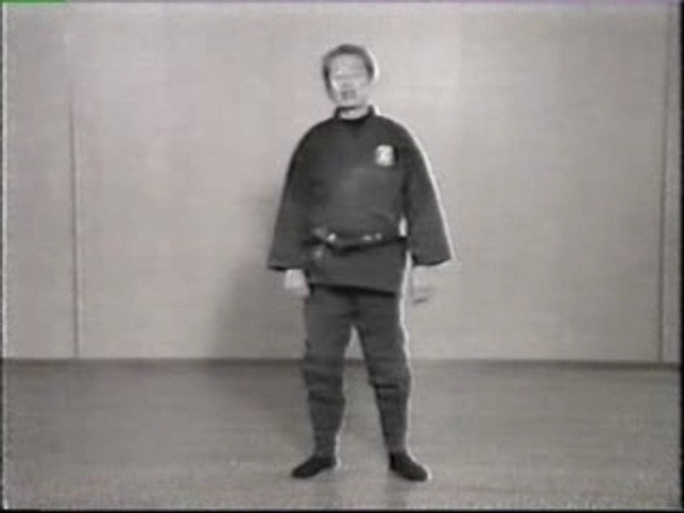 Ninjutsu training - part 4-4/6