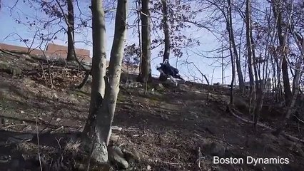 Introducing Spot A Robot