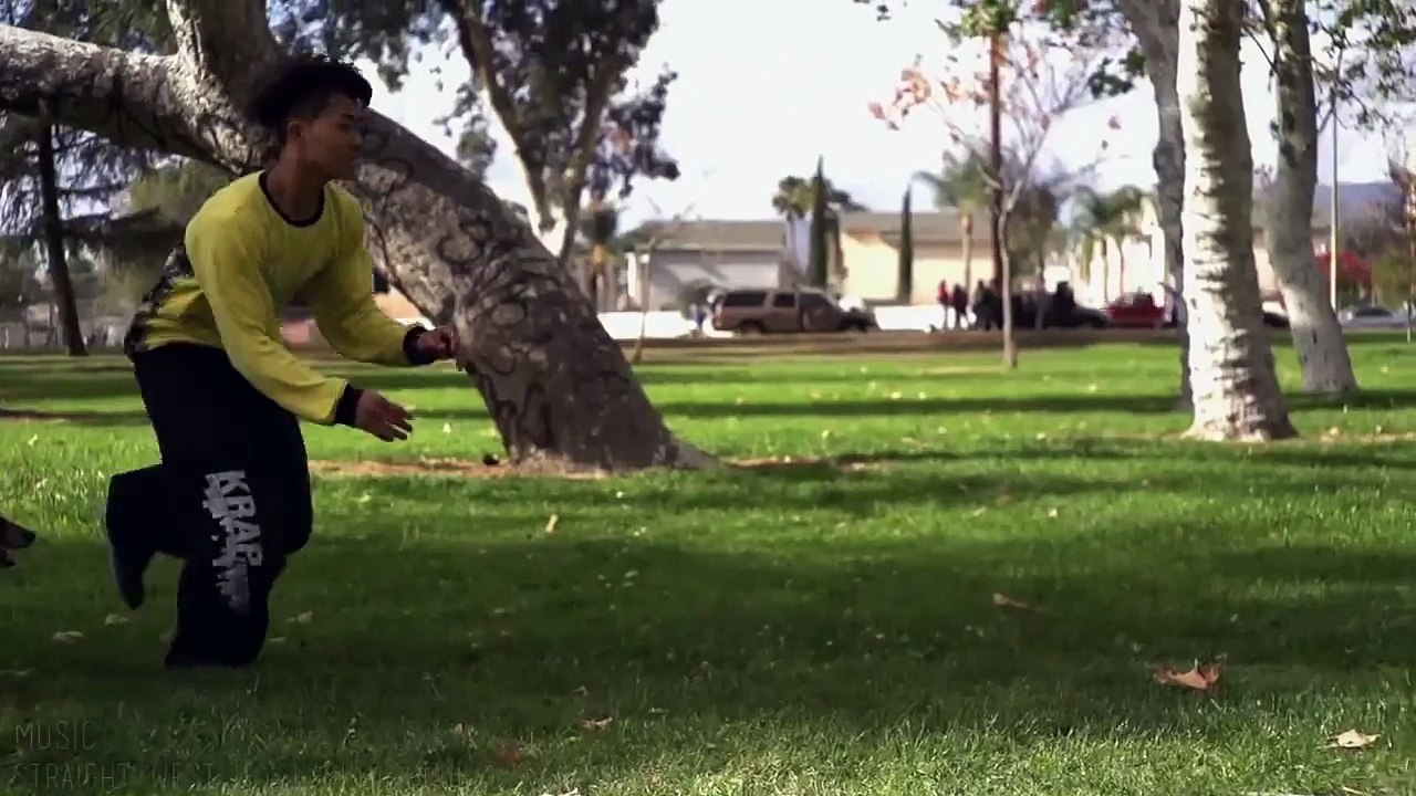 Incredible Parkour Dog! - Feat. Jumpy & Alex (BeyondSlowMotion)