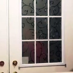 Wifi is the most important thing in a house Zaid Ali Videos