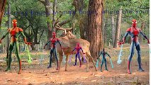 Deer Spiderman Finger Family Cartoon Animation Nursery Bikes Water Shoots Finger Family So