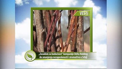Vesti - „Zasadom za budućnost“