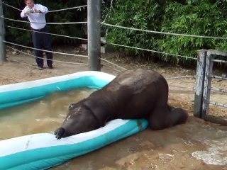 Mac the Elephant Takes a Bath
