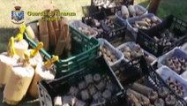 Caserta - sequestrate 2,5 tonnellate di fuochi d'artificio illegali