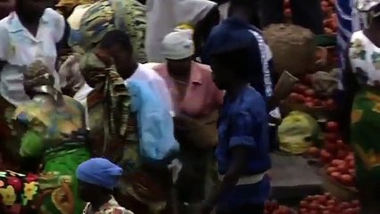 Catching the Worlds Deadliest Crocodile │ Full Documentary │