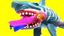 SHARK ATTACK!! Frozen Anna attacked by SHARK!! BATMAN come to the rescue! (Toys Story)