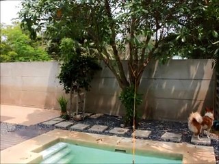 Transformer sa piscine en piscine sans fin pour 2$