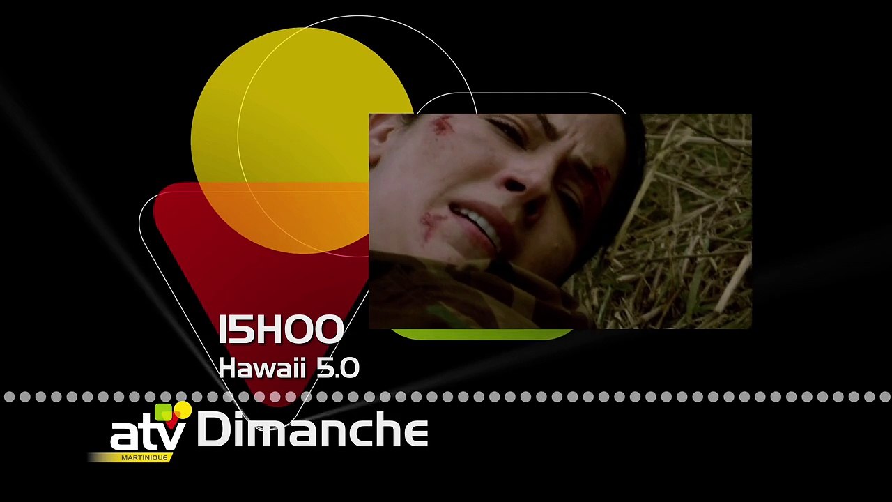 HAWAII 5.0 271215