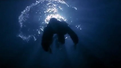 Ewan Mcgregor dans Trainspotting VS La menace Fantome