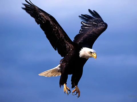 Har Lehza Hai Momin - Allama Iqbal Poetry