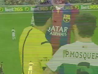 Funny Moments Comedy Animals In Football Match