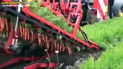 Gişesi Şimdiden Garanti Havuç Hasat Makinesi
