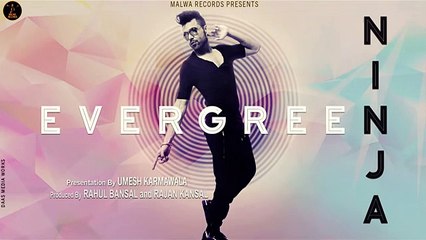 EVERGREEN -- NINJA -- OFFICIAL FULL AUDIO -- MALWA RECORDS -- 2015