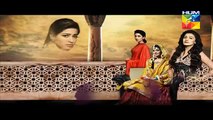 Mera Dard Na Jany Koi Full Episode 41 HUM TV Drama 23 Dec 2015