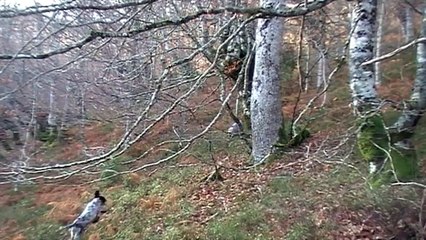 des debuts prometteurs