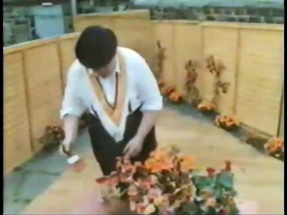 Laugh??? I Nearly Paid My Licence Fee. Series 1 Episode 4