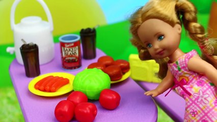 Frozen Family Picnic FAIL Bugs Attack Frozen Kids & Elsa & Spiderman with a Skunk DisneyCa